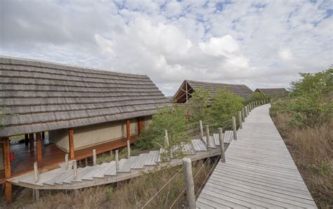 Parque Nacional De Limpopo Visit Mozambique