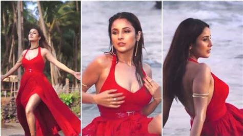 Shehnaaz Gill Viral Hot Bold Video In Red Dress Near Beach With Song