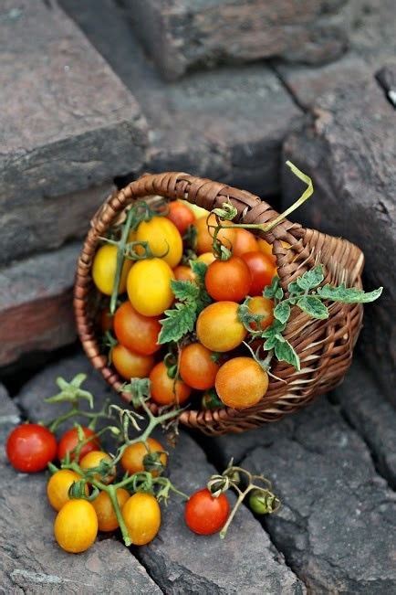 Pin By Cat Man Du On Yummy Veggies Fruit And Veg Photographing Food