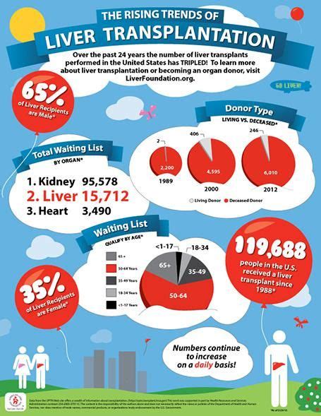 American Liver Foundation Learn About The Rising Trends Of Liver Transplantation With This