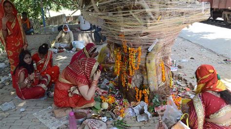 Vat Savitri Puja At Home Without Banyan Tree वट सावित्री पूजा के लिए