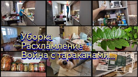 Покупки в Леруа Мерлен /Расхламление /Генеральная уборка в кухне ...