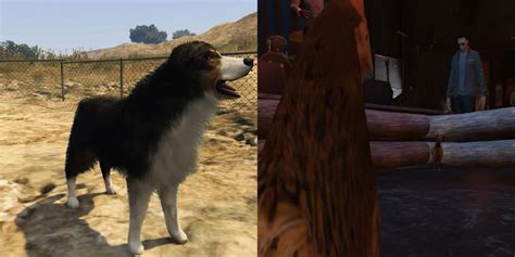 Gta 5 Dog Breeds