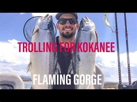 TROLLING FOR KOKANEE On Flaming Gorge YouTube