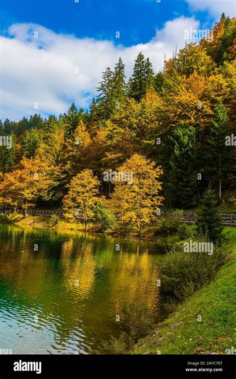 Beautiful Forests Hi Res Stock Photography And Images Alamy