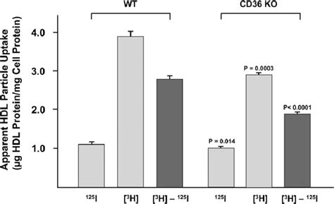 Uptake Of I Tc H Cet Hdl By Nonparenchymal Cells Of The Liver