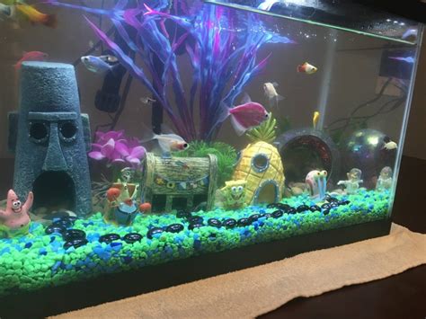 Neon Tetra Complete Care Guide Breeding And Disease