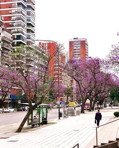 Travel To Buenos Aires In November Spring Time To Enjoy Great Weather