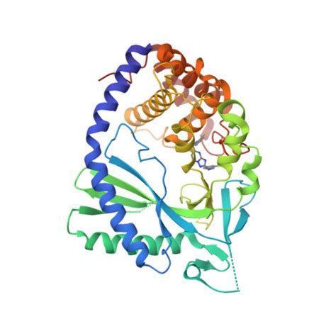 Rcsb Pdb Fuo Crystal Structure Of Human Cyclic Gmp Synthase In