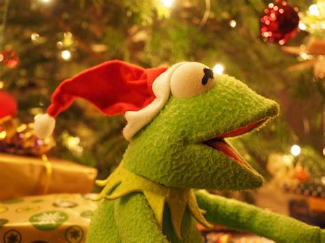 Kermit Frog Christmas - Free photo on Pixabay - Pixabay