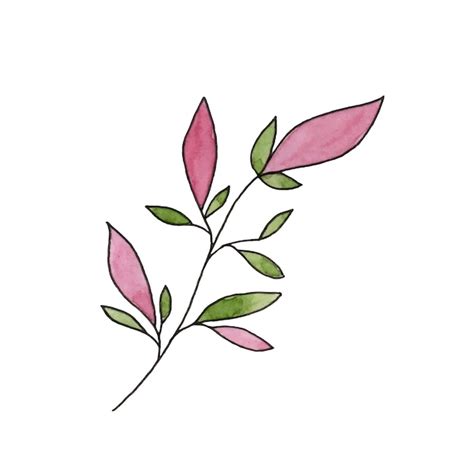 Un Dibujo De Una Planta Con Hojas Rosas Y Hojas Verdes Vector Premium