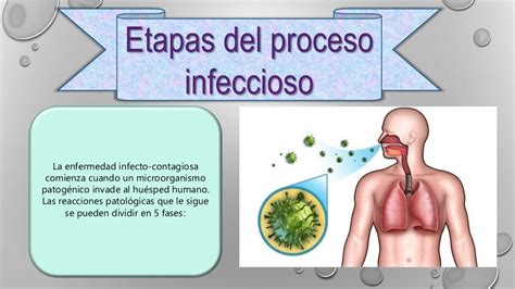 Proceso Infeccioso