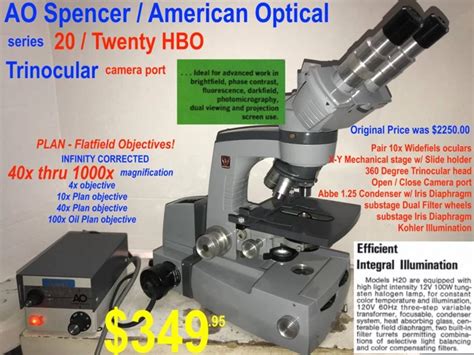 Unlock The Secrets Of Your Microscope Learn How To Use A Darkfield