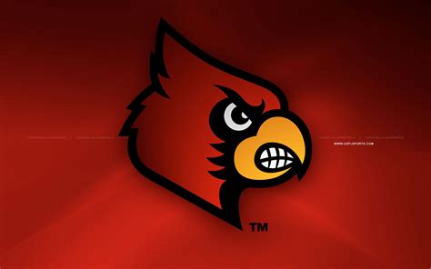 Top 85+ louisville cardinals wallpaper - in.coedo.com.vn