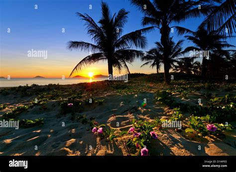 beach  waterfront sunrise cua dai beach hoi  vietnam asia