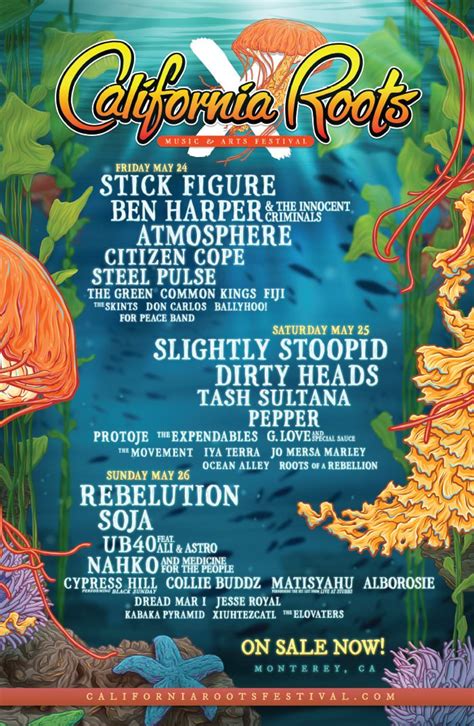 Past Lineups California Roots Music Art Festival 2024