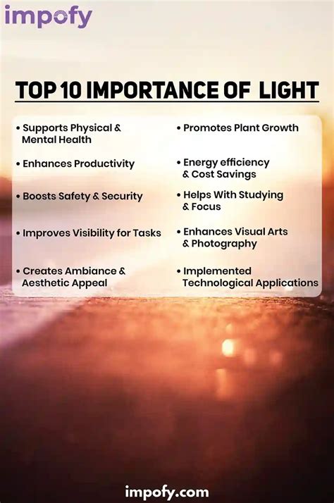 Top 10 Importance of Light | Why Lighting Matters in our Daily Life 