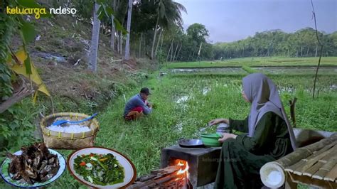 Mancing Ikan Dan Cari Genjer Di Sawah Masak Tumis Genjer Ikan Betik