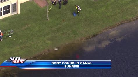 Body Of Elderly Woman Found Floating In Canal In Sunrise Wsvn 7news Miami News Weather