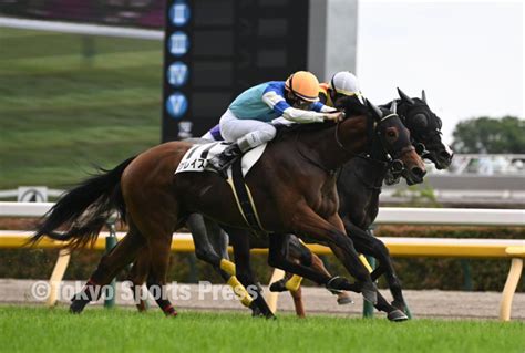 東スポ 写真部 On Twitter 【 競馬】 2023年5月20日 東京7r グレイスフル 横山和生 騎手が本日2勝目！