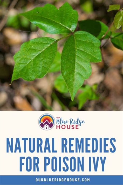 10 Best Natural Remedies For Poison Ivy Our Blue Ridge House