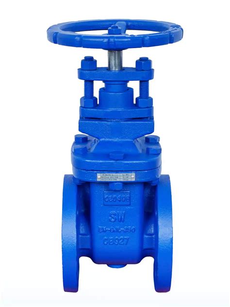 Zasuwy klinowe pierścieniowe żeliwne GTM Process Valves