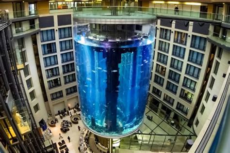 Best Aquariums In The World Tourscanner