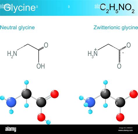 Molekulare Glycin Formel Neutrales Glycin Und Zwitterionisches Glycin