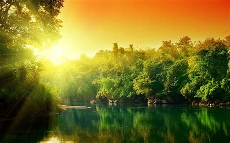 Amazon River HD Wallpaper Pxfuel