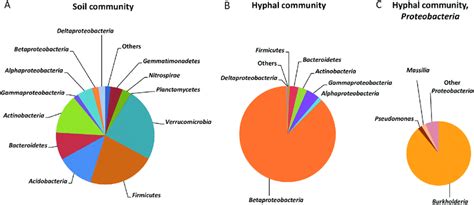 Composition Of Microbial Communities In A Bulk Soil Or B And C