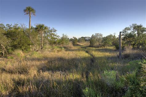 Castaway Island Preserve - Timucuan Parks Foundation