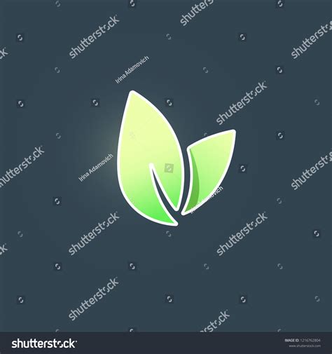 Icon Vector Leaf Eco Nature Healthy Stock Vector Royalty Free 1216762804 Shutterstock