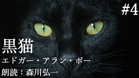 End The Black Cat Edgar Allan Poe Japanese Read