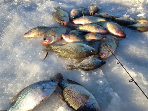 Ice Fishing On Wabigoon Lake Dryden Ontario