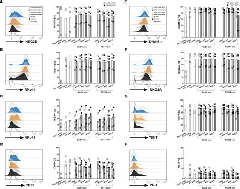 Frontiers Cd44v6 Specific Car Nk Cells For Targeted Immunotherapy Of