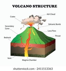 Volcano Structure Diagram Volcanic Eruption Science Stock Vector ...