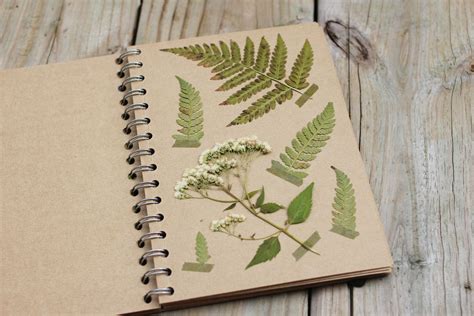 Tips for Pressing Plants | Pressed flower art, Pressed flowers, Flower art