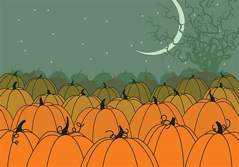 Pumpkin Patch Illustrations Royalty Free Vector Graphics And Clip Art