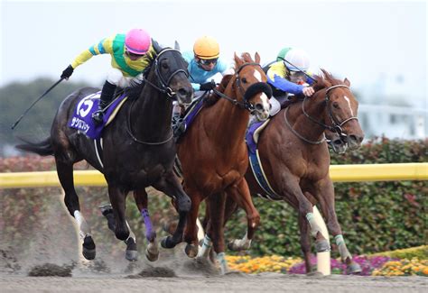 Jra Van公式 On Twitter 今年の フェブラリーs まであと3日！ ハイレベルなメンバーが揃った09年は サクセス