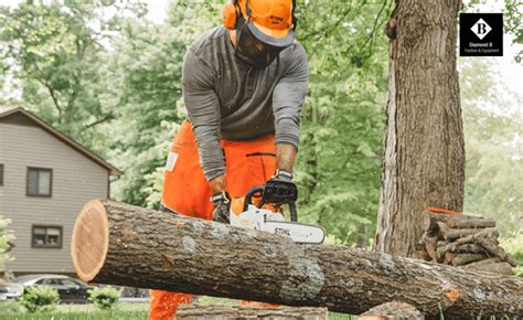 A Buyers Guide On Stihl Chainsaw Model Numbers