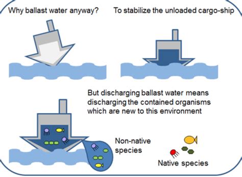 Invasive Species Flashcards Quizlet