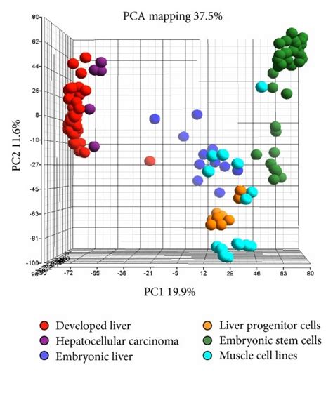 Principal Component Analysis Pca Displays Transcriptome Clustering Download Scientific