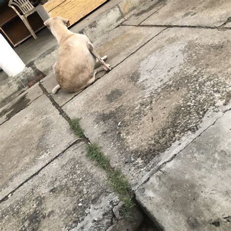 Fuckboydeep Xh Cam Model Free Live Sex Show Chat Stripchat