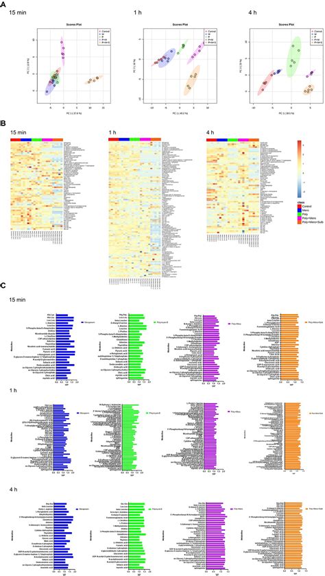 Frontiers Metabolomic Profiling Of Polymyxin B In Combination With