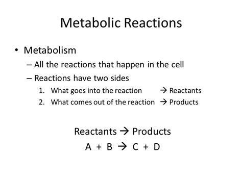 Chapter 6 Enzymes Metabolic Reactions Metabolism All The Reactions