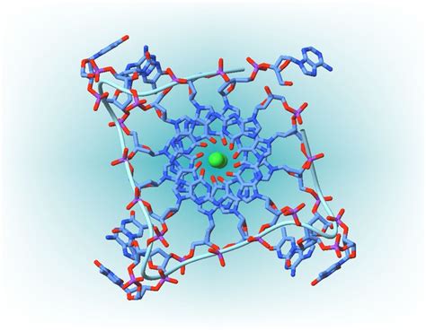 Quadruple helix DNA seen in human cells | Dna, Cell, Human