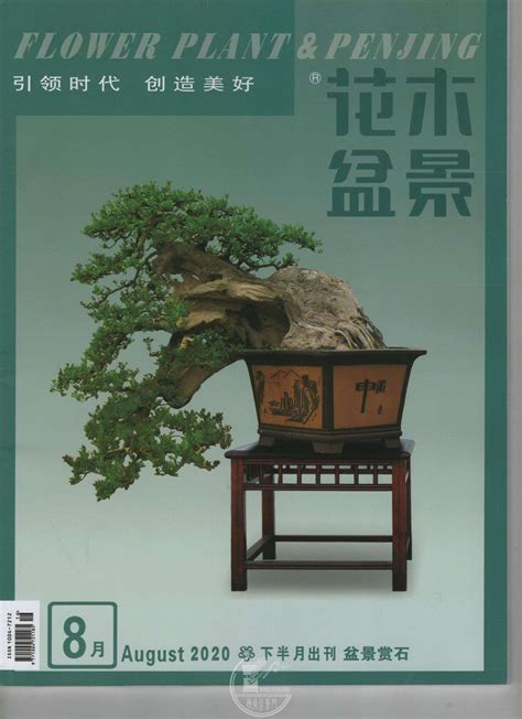 梅开二度 渐入佳境——“广西盆景第一村”第二届盆景展 见刊 盆景自由讲 岭南盆景网 Powered By Discuz