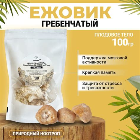 Ежовик гребенчатый плодовое тело 100 грамм, ГрибNik - купить с ...