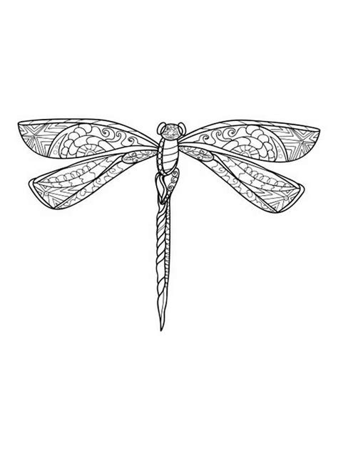 Zentangle Dragonfly Coloring Pages Coloring Pages