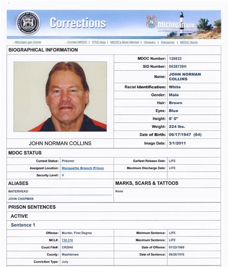 The Pros and Cons of Using the Michigan Department of Corrections Offender Search 9